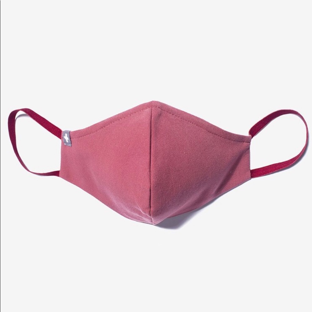 Figs Fion Face Mask